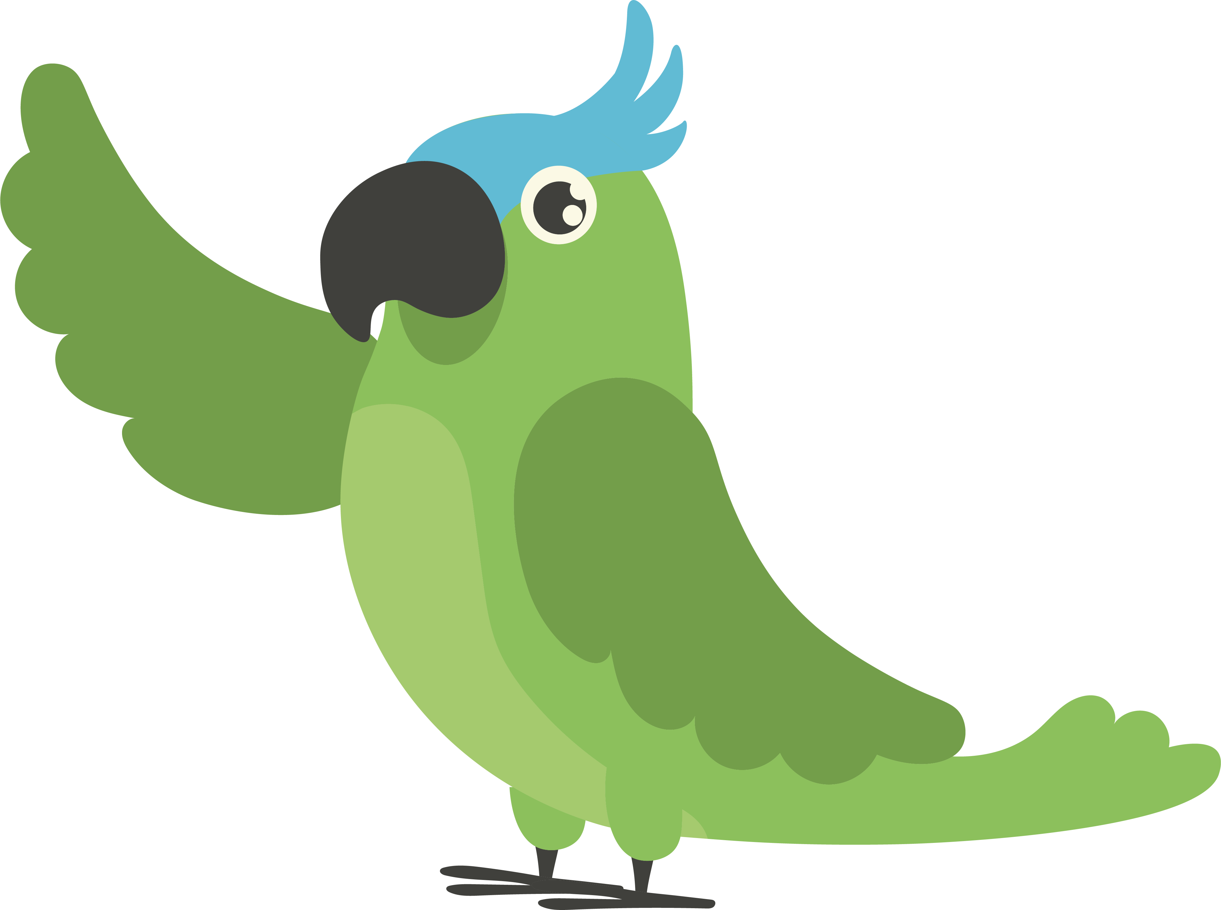 Illustration d'un perroquet de type amazone à front bleu pointant le côté gauche de la page avec son aile