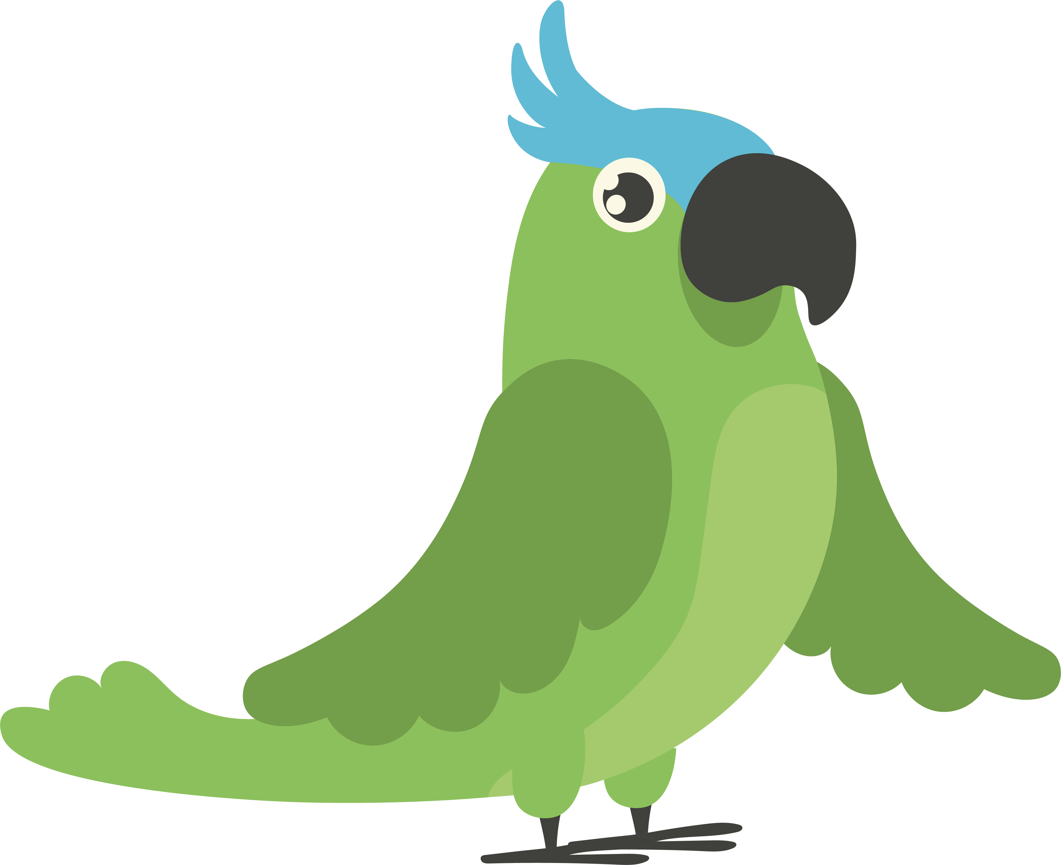Illustration d'un perroquet de type amazone à front bleu qui fait un clin d'oeil