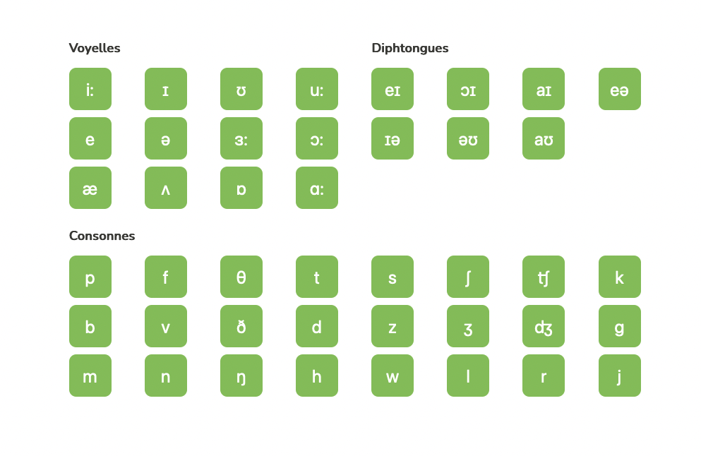 Tableau des phonèmes anglais avec les sons dans des boutons verts